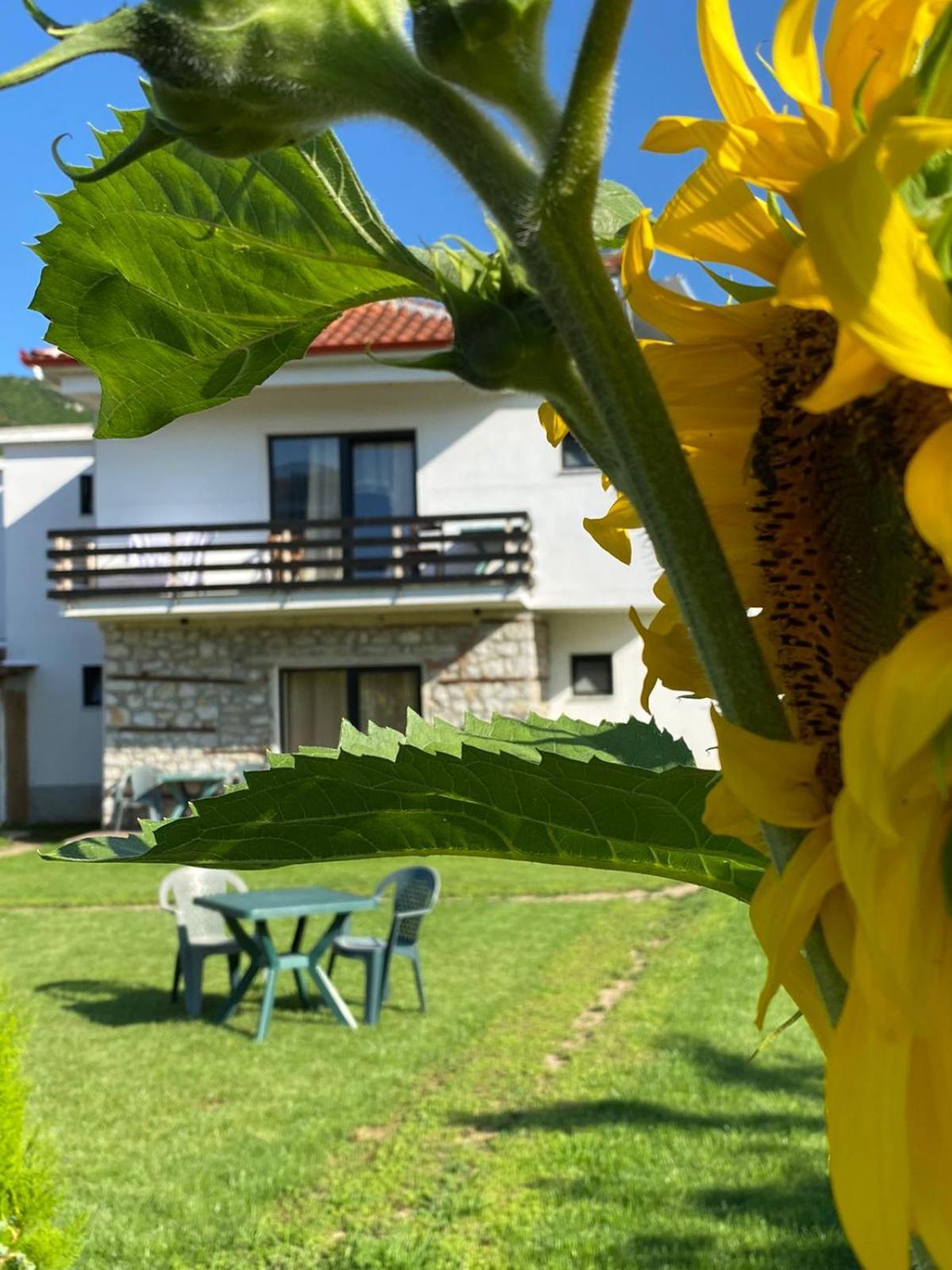 Vila Ndrio Tushemisht Buitenkant foto